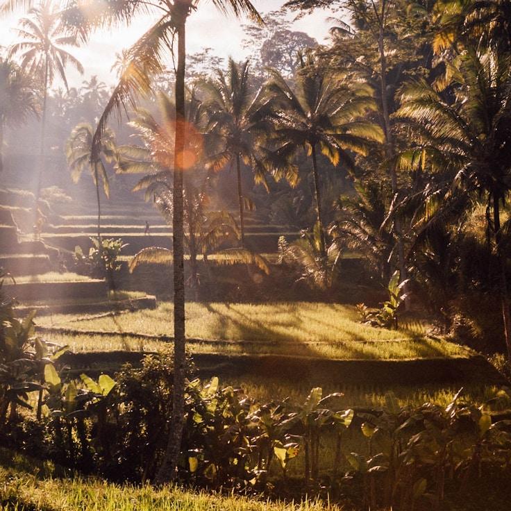 Kids playground area in Switzerland